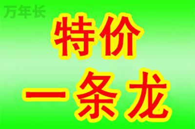 武汉湖北省武汉市黄陂区墓地多少钱？